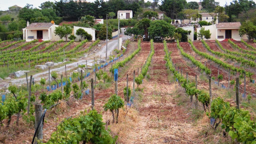 Horta Nova Βίλα Λάγος Εξωτερικό φωτογραφία